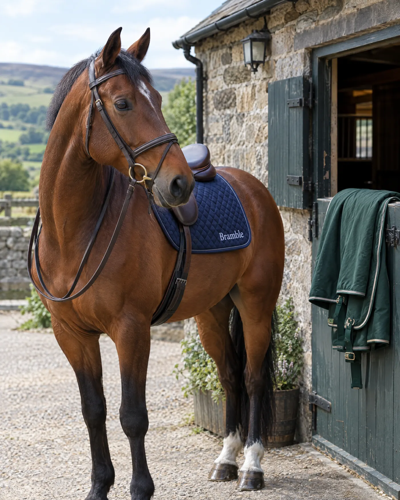 Bay horse wearing a navy saddle pad embroidered with the name Bramble